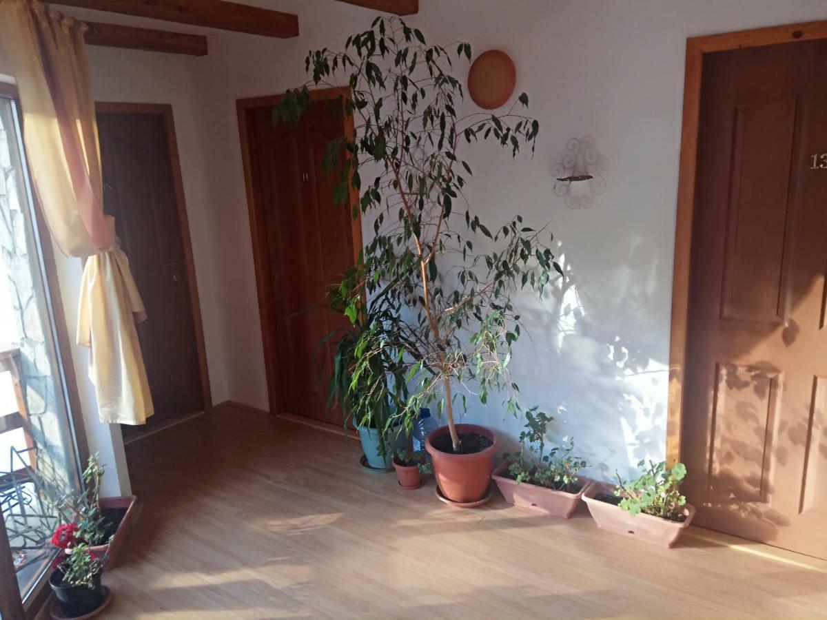 Hotel Casa Alexandru Azuga Exterior foto